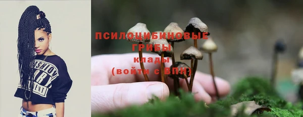 мет Баксан
