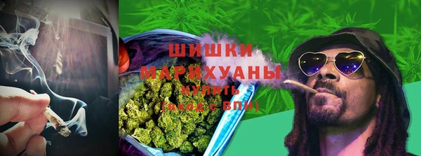 ешки Арсеньев