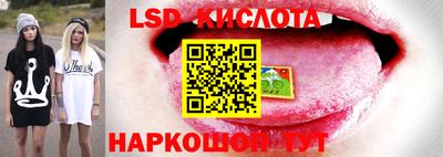 ПСИЛОЦИБИНОВЫЕ ГРИБЫ Тара