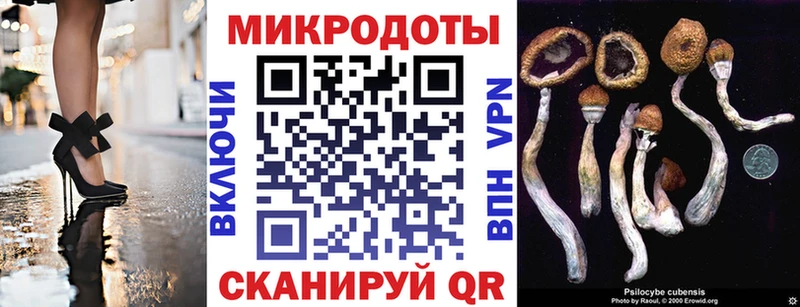 omg онион  Полысаево  Галлюциногенные грибы Psilocybine cubensis 