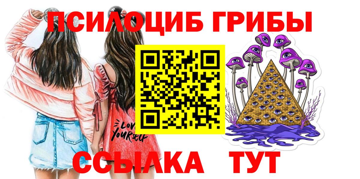 Псилоцибиновые грибы Cubensis  Галлюциногенные грибы мицелий  Полысаево  Вход с VPN 