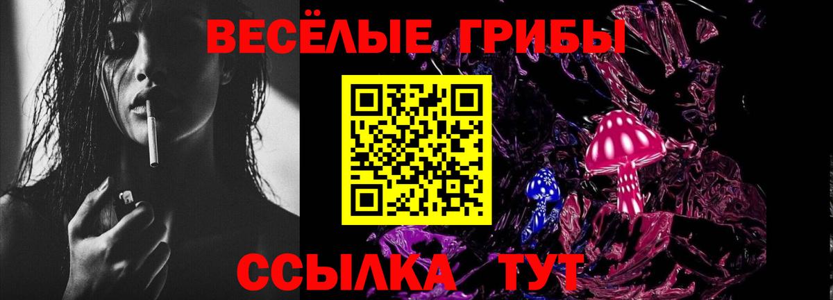 Псилоцибиновые грибы ЛСД Полысаево